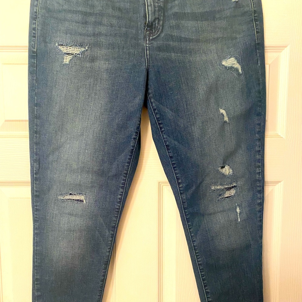 Lane Bryant Size 16